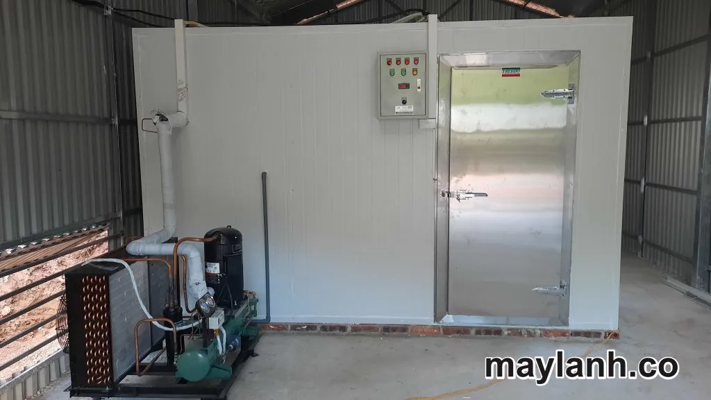 thu mua kho đông cũ