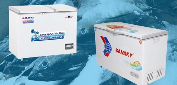 kinh nghiệm mua tủ đông cũ