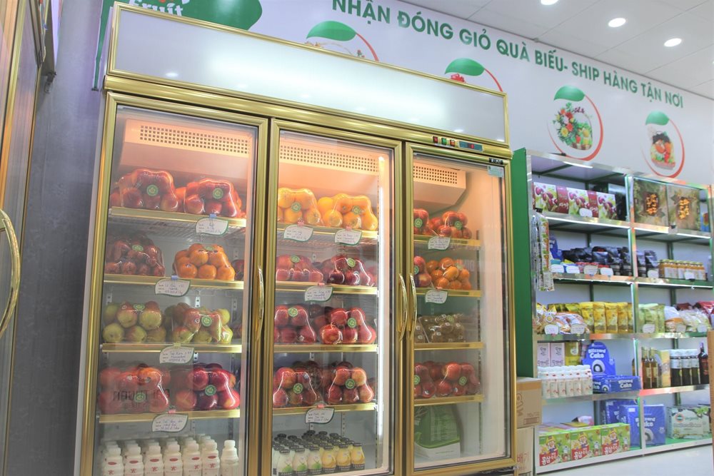 Kho tủ mát giá rẻ ở Sài Gòn